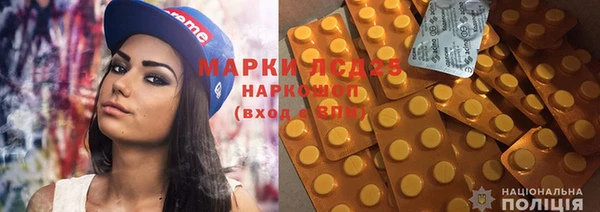 индика Сосновый Бор