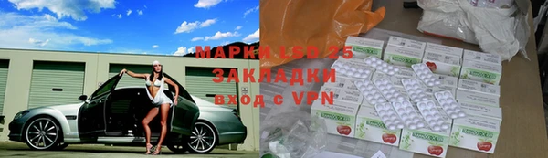 шишки Надым