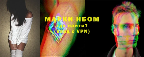 шишки Надым