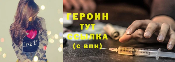 шишки Надым