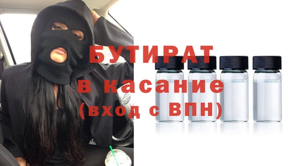 шишки Надым