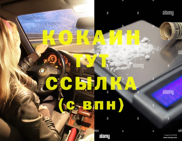 шишки Надым