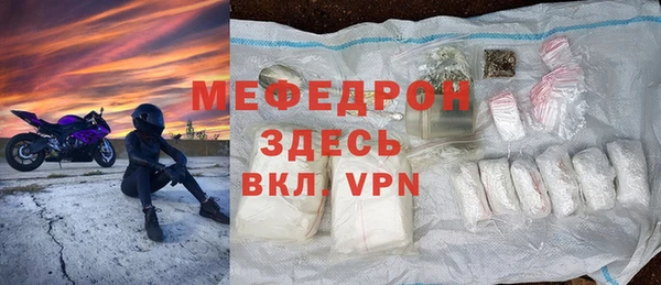 шишки Надым