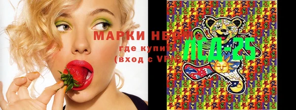 винт Нея