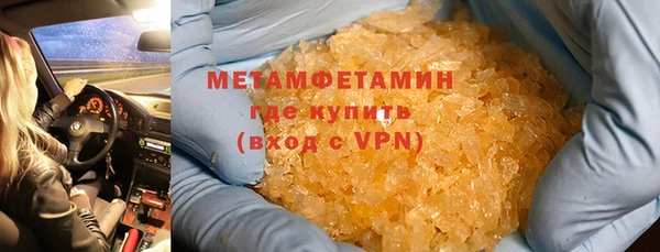 шишки Надым