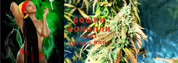 сатива Навашино