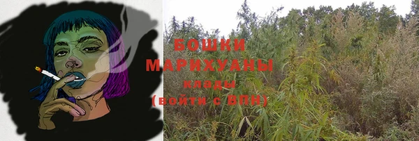 шишки Надым