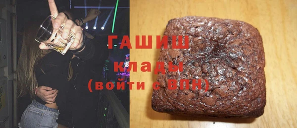 шишки Надым