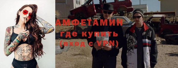 шишки Надым