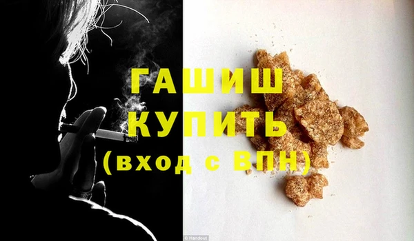 шишки Надым